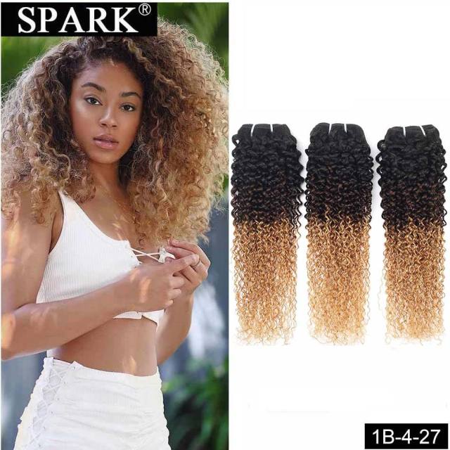 Curly Brazilian Human Hair Ombre Extension Bundles
